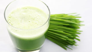 Wheatgrass